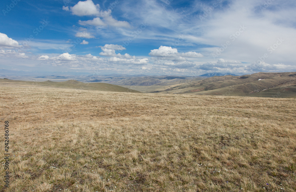 The alpine steppe in the mountains of central Asia