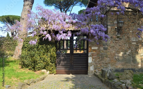 Appia