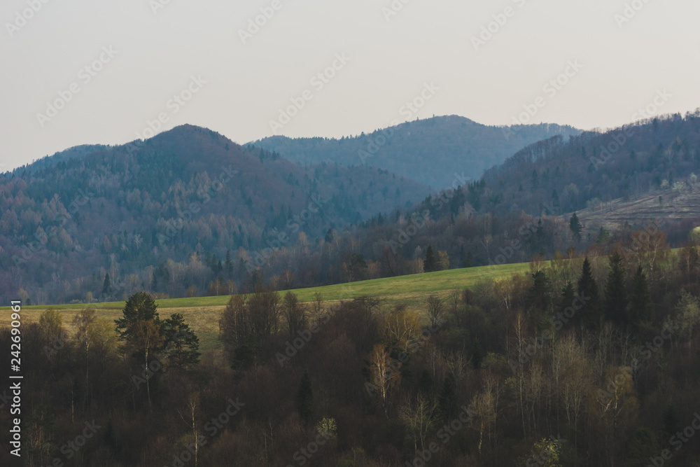 Naklejka premium Bieszczady
