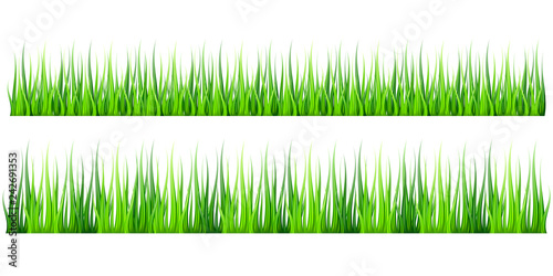 Super realistic, detailed fresh green vector grass. Isolated plant stems for front plan nature illustration. Gradient mesh tool