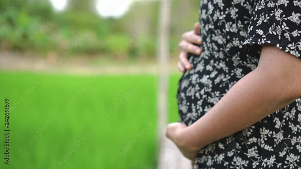 Happy young asian pregnant woman hand touching her belly while standing beside rice and grass field with copy space. Happy young asian pregnant woman hand touching her belly while standing beside rice and grass field with copy space.