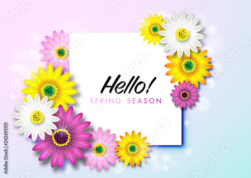 Spring Background with Colorful Daisy Flower Blossom Design Vector