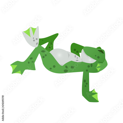 Reclining Toad Frog