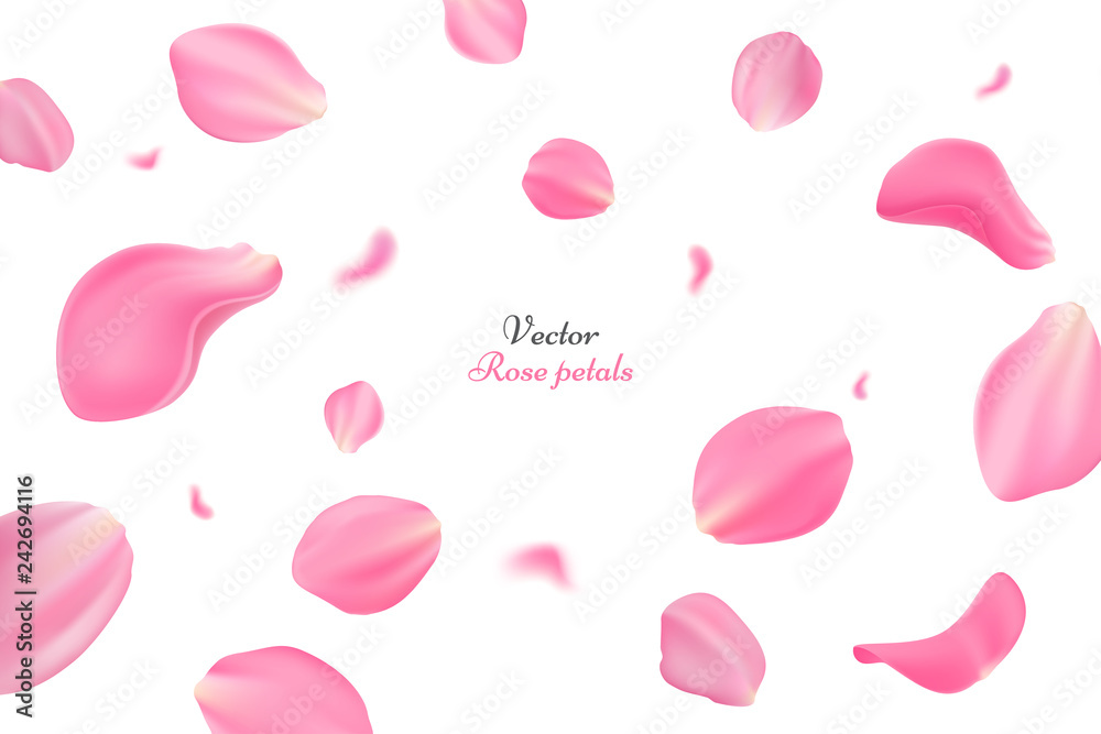 Falling pink rose petals isolated on white background. Vector illustration  with beauty roses petals. Applicable for design of greeting cards on March  8, wedding and St. Valentine's Day. Eps 10 Stock Vector