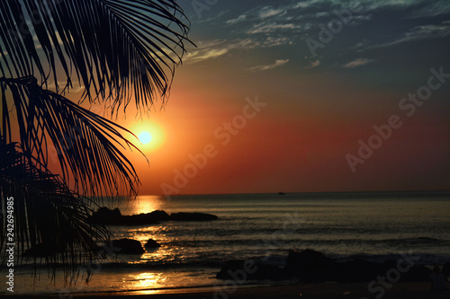 Sunset on the sea through the silhouette of a palm tree and a lonely girl