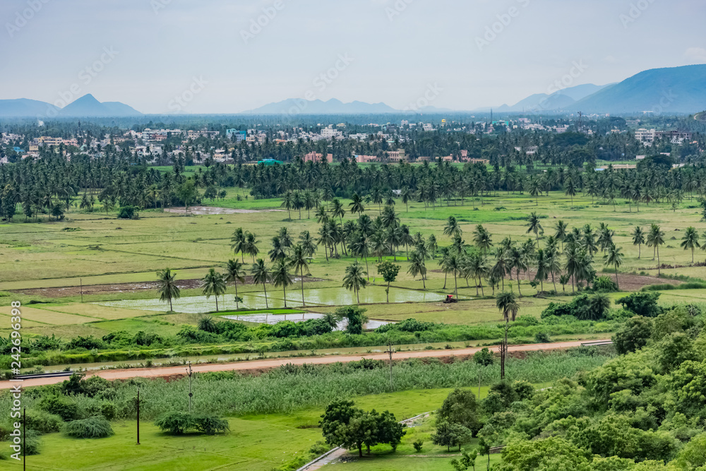 coconut trees plantation at greenery field with small stream let near by village Unreconstructed road with mountain white cloud sky background.
