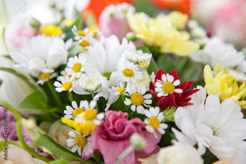 A bright bouquet of daisies and chrysanthemums.