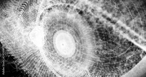 Polygonal Eye 3D Animation 4k Video Clip.