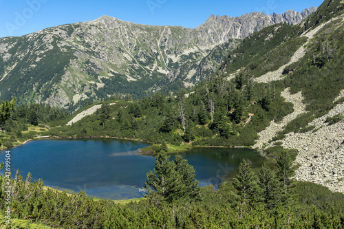 Fototapeta Naklejka Na Ścianę i Meble -  Landscape with Clear waters of Fish Vasilashko lake, Pirin Mountain, Bulgaria