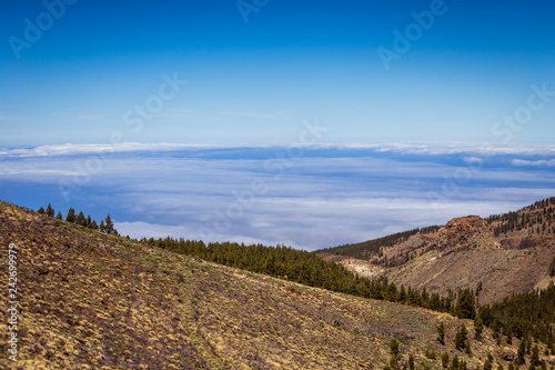 Beautiful landscape of  Teide national park  Tenerife  Canary island  Spain