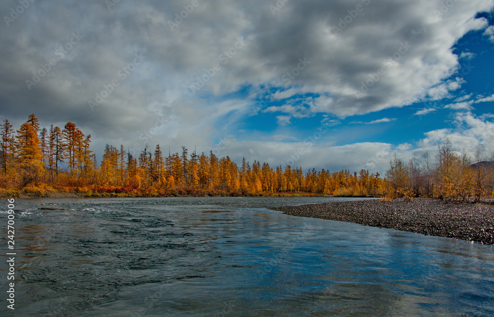 Obraz premium Russia. far East. The colours of autumn are cold-water rivers of Magadan.