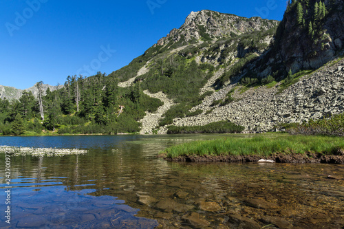 Landscape with Clear waters of Fish Vasilashko lake  Pirin Mountain  Bulgaria