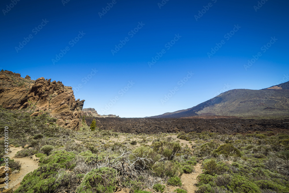 Beautiful landscape of  Teide national park, Tenerife, Canary island, Spain