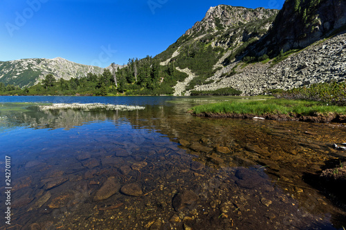 Landscape with Clear waters of Fish Vasilashko lake  Pirin Mountain  Bulgaria