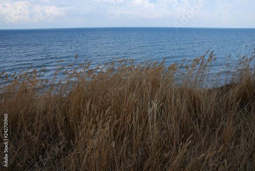 Azov sea coast