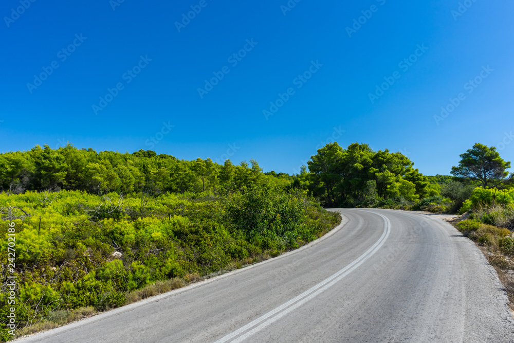 Fototapeta premium Greece, Zakynthos, Curved road through green paradise and blue sky