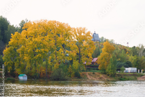 Big tree with golden leaves on the bank of the Volga, autumn landscape, cloudy weather