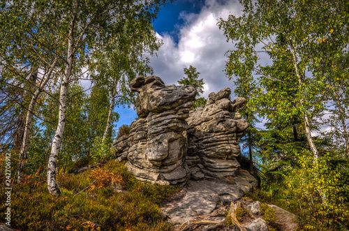 Scenic rock formation in autumn birch forest near stone labyrinth Bledne skaly in Szczeliniec Wielki in National Park Stolowe Mountains, Sudety, Poland photo