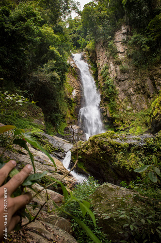 waterfall in forest