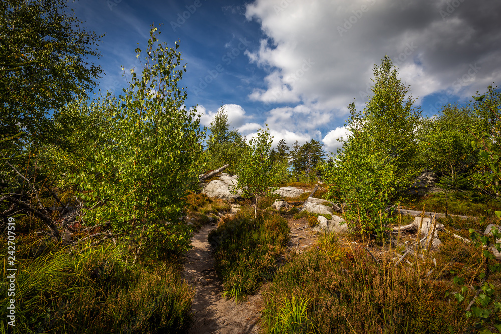 Sandy footpath, in green forest with dramatic blue cloudy sky, to the stone labyrinth Bledne skaly in Szczeliniec Wielki in National Park Stolowe Mountains, Sudety, Poland Sandy footpath, in green forest with dramatic blue cloudy sky, to the stone labyrinth Bledne skaly in Szczeliniec Wielki in National Park Stolowe Mountains, Sudety, Poland