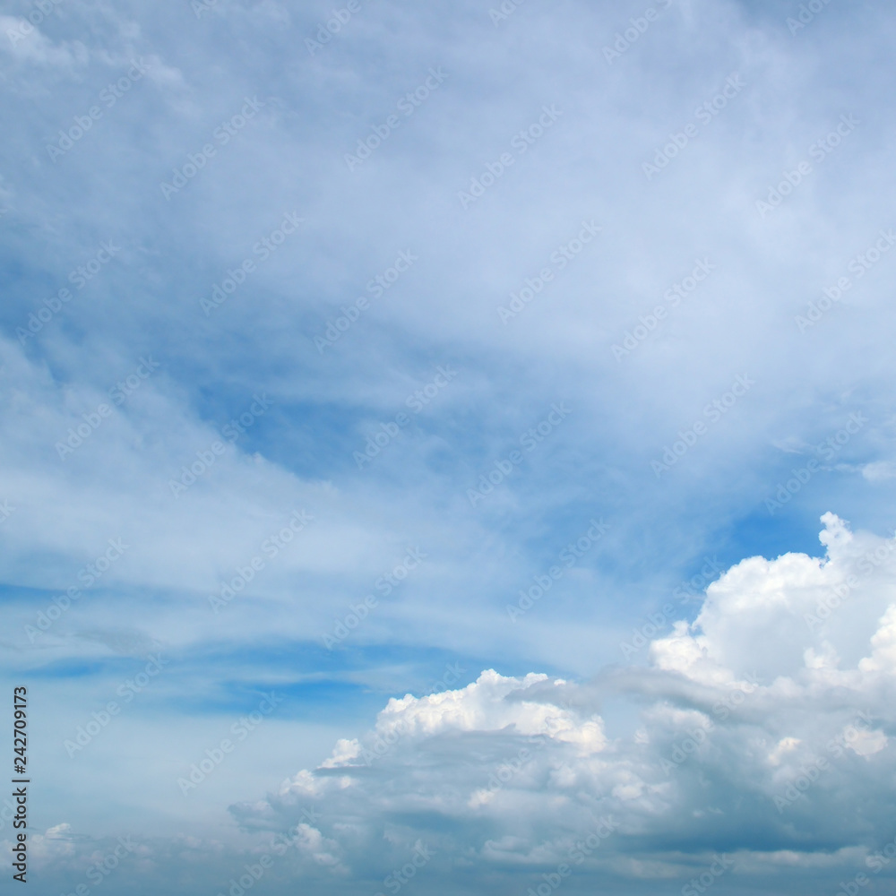 Obraz premium Light clouds in the blue sky.