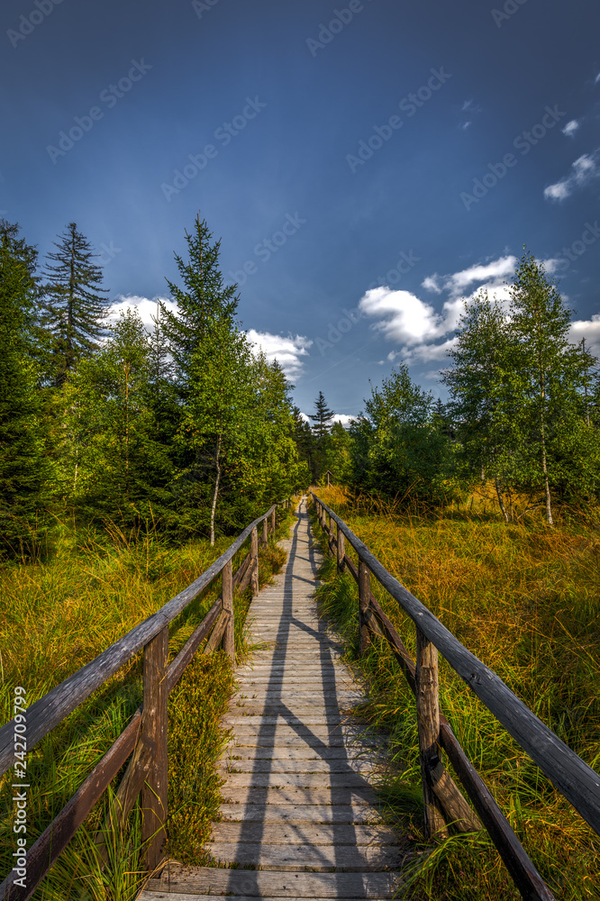 Fototapeta premium Wooden path around small march near stone labyrinth Bledne skaly, Szczeliniec Wielki in National Park Stolowe Mountains