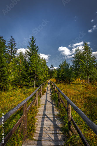 Wooden path around small march near stone labyrinth Bledne skaly, Szczeliniec Wielki in National Park Stolowe Mountains