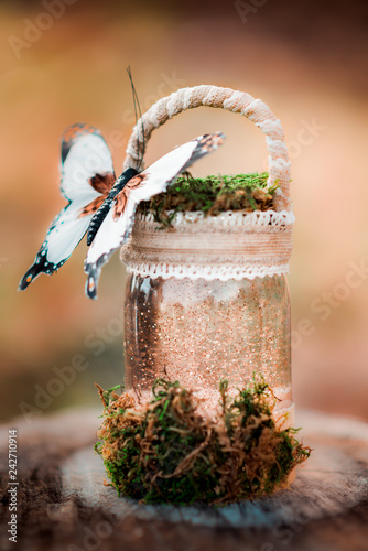 Принти на полотні Butterfly on Sparkling Fairy Jar with Moss