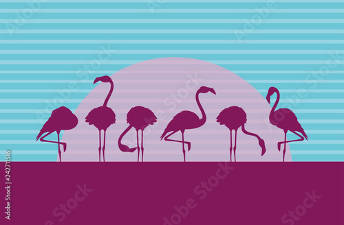 silhouettes of flamingos birds flock in the landscape