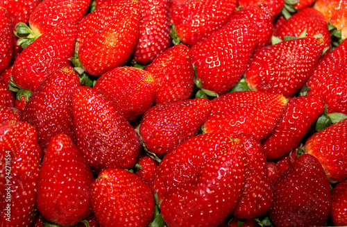 Ripe red freshly harvested strawberry in full frame. Food background.