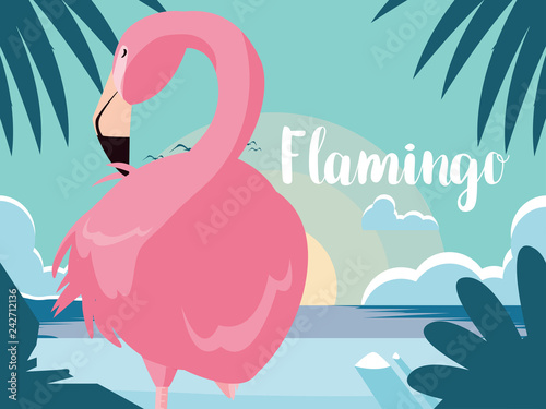 beautiful flamingo bird stand in the landscape