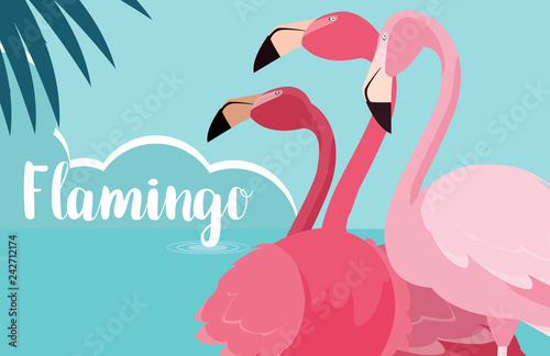 beautiful flamingos birds flock in the landscape