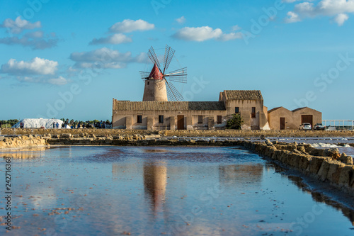 Fotografie Marsala sant pans