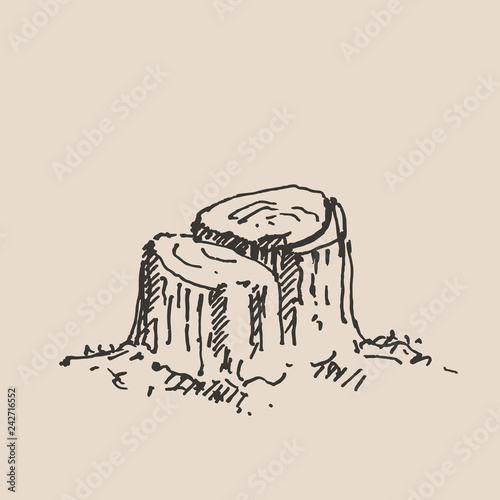 Hand drawn tree stump. Vector illustration.