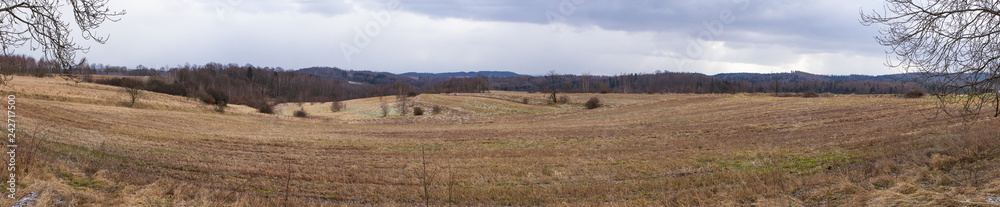 Brown field at spring time