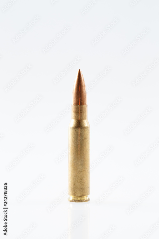 Hunting cartridges of caliber .308 Win Hunting cartridges of caliber .308 Win