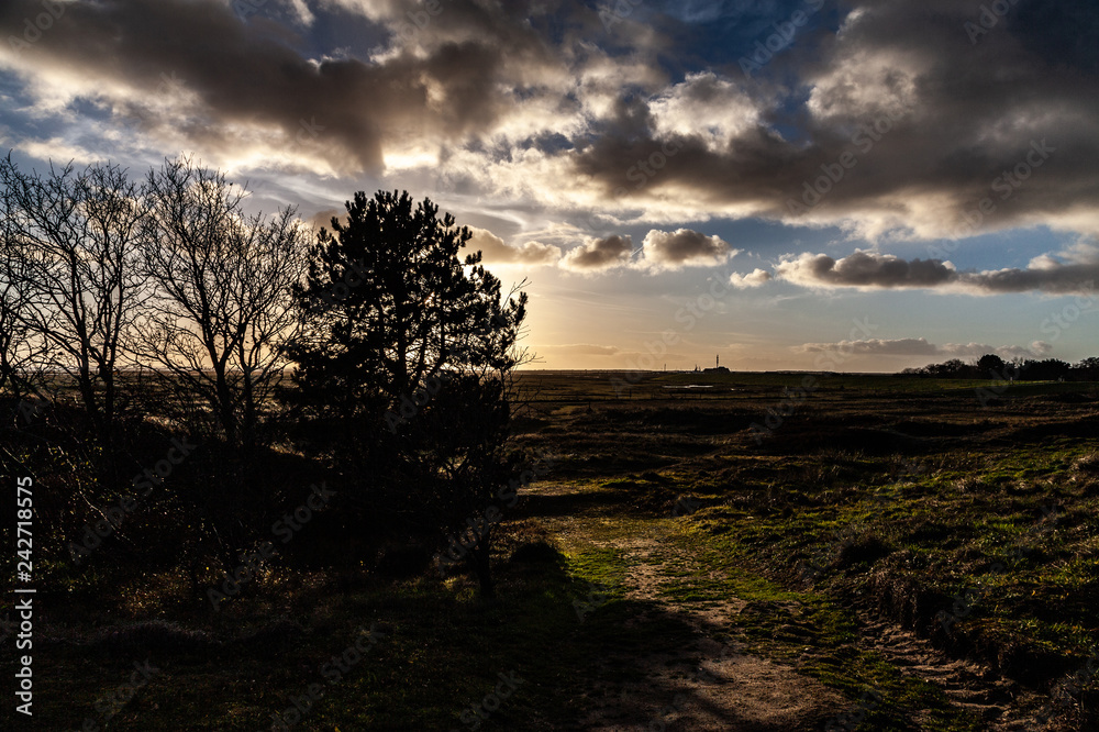 Landschaft mit Baumsilhouette im Gegenlicht Landschaft mit Baumsilhouette im Gegenlicht