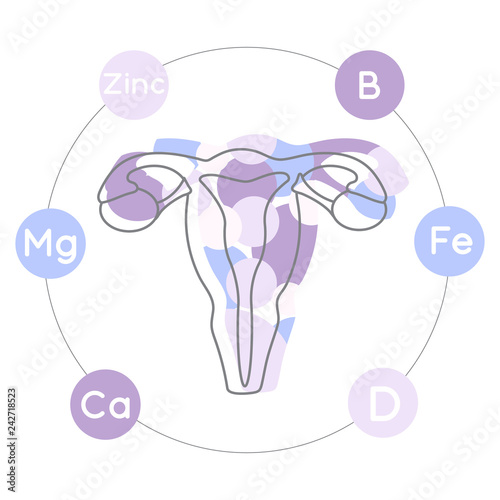 Vitamins and minerals for healthy female reproductive system. Micro and macro elements and vitamins in a circular scheme: Zinc, Mg, Ca and Fe, B, D and other vector elements.