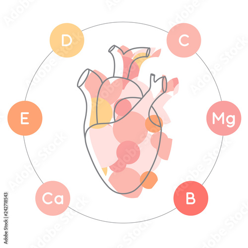 Vitamins and minerals for healthy heart. Micro and macro elements and vitamins in a circular scheme: D, E, Ca, C, B, Mg and other vector elements. 