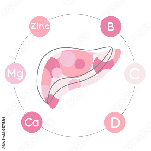 Vitamins and minerals for healthy liver. Micro and macro elements and vitamins in a circular scheme: Zinc, Mg, Ca, B, C, D and other vector elements. 