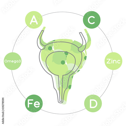 Vitamins and minerals for healthy bladder. Micro and macro elements and vitamins: C, Fe, A, D, Zinc and Omega 3 and other vector elements. Abstract illustration in green and yellow colors.