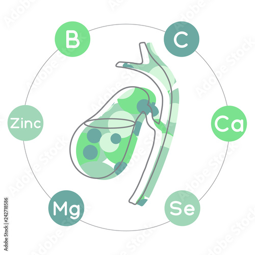 Vitamins and minerals for healthy gallbladder. Micro and macro elements and vitamins: B, C, Ca, Zinc, Mg, Se and other vector elements. Abstract illustration in green colors.