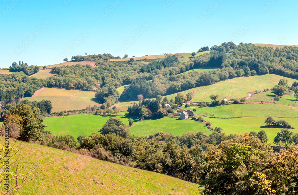 Fields with trees in France on a sunny day