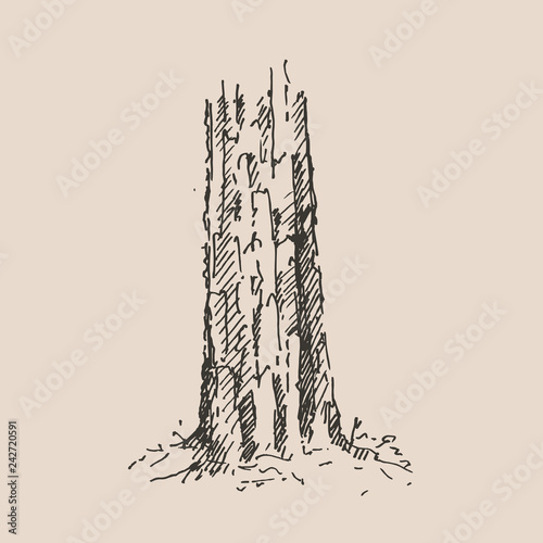 Hand drawn tree stump. Vector illustration.