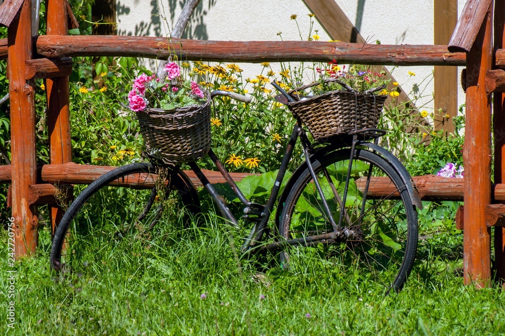 bicycle as a flowerbed
