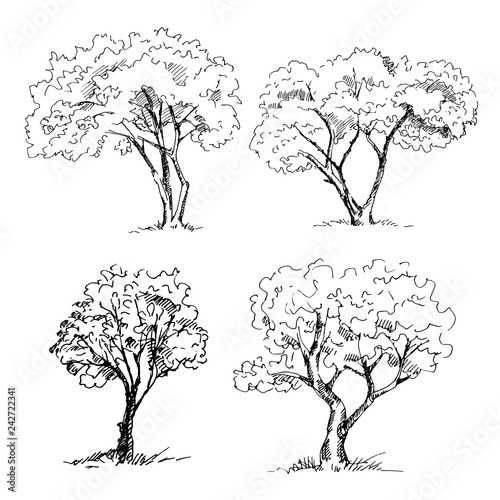 Hand drawn trees set. Vector illustration.