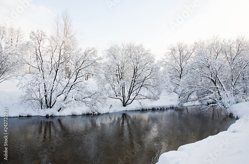 river and trees under snow on winter day