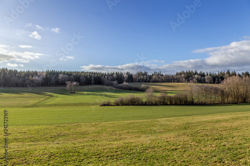 Winter. Meadow. Field. Forest. Hill. Sky © sarenac77