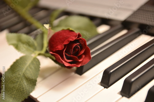 Photos rosa sul pianoforte regalo per festa di san valentino festa degli innamorati