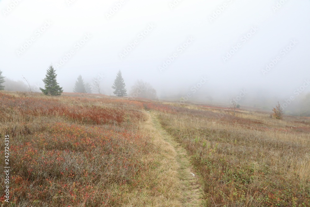 Reduced visibility from the heavy fog Reduced visibility from the heavy fog